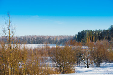 Similar image 19191930