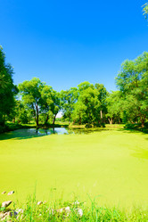 Similar image 19191961