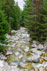 Similar image 19191949