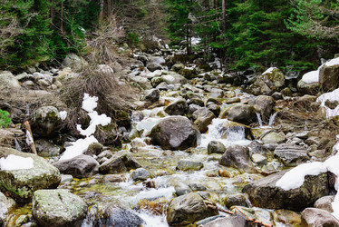 Similar image 19192002