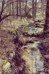 Similar image 19192027