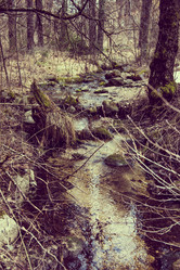 Similar image 19192067