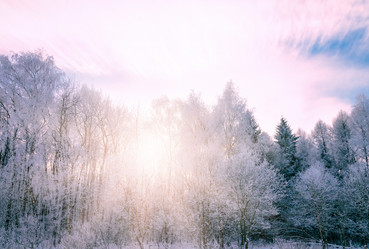 Similar image 19192068