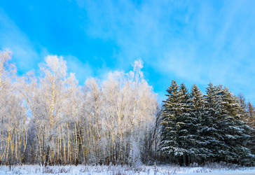 Similar image 19192099