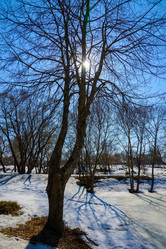 Similar image 19192167