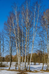 Similar image 19192189