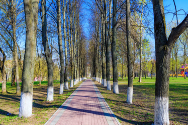 Similar image 19192462