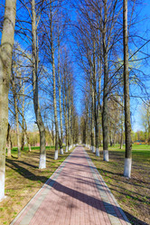 Similar image 19192483