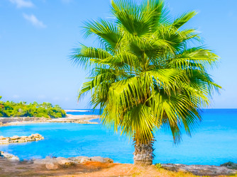 Similar image 19192484