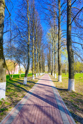 Similar image 19192522