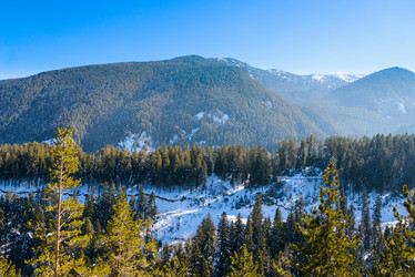 Similar image 19192550