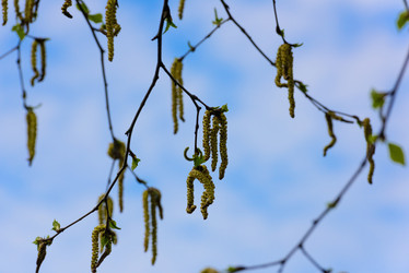 Similar image 19192617