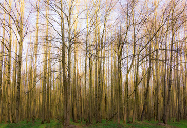 Similar image 19192651