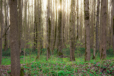 Similar image 19192797