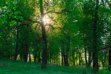 Similar image 19189175