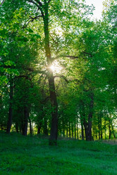 Similar image 19189192