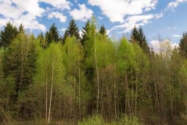 Similar image 19189193