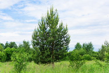 Similar image 19189232