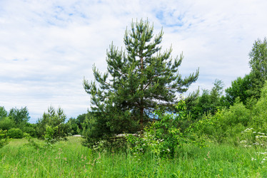 Similar image 19189234