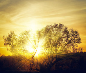 Similar image 19189268