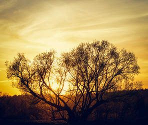 Similar image 19189270