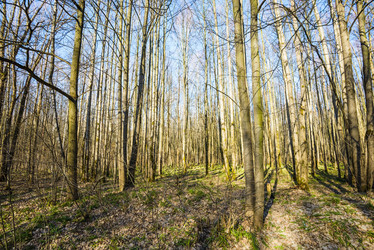 Similar image 19189304