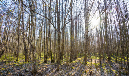 Similar image 19189305