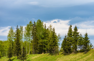 Similar image 19189328