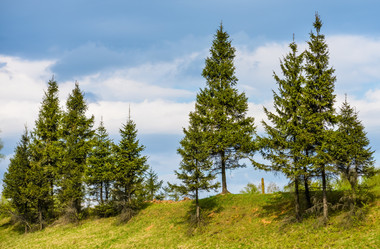 Similar image 19189341