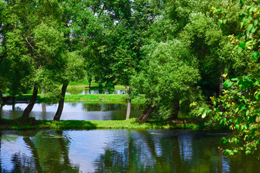 Similar image 19189360