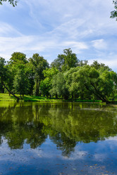 Similar image 19189384