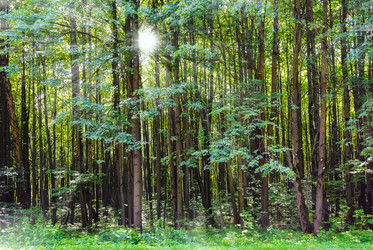 Similar image 19189464