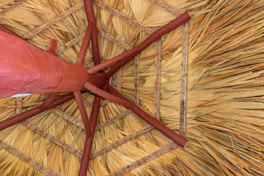 Similar image 19189534