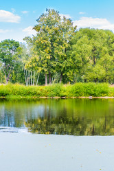 Similar image 19189576