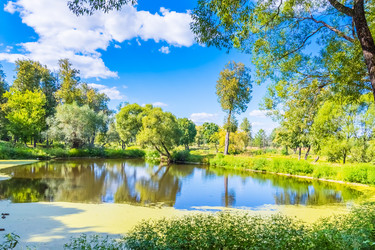 Similar image 19189591