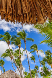 Similar image 19189639