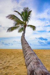 Similar image 19189856