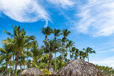 Similar image 19193303