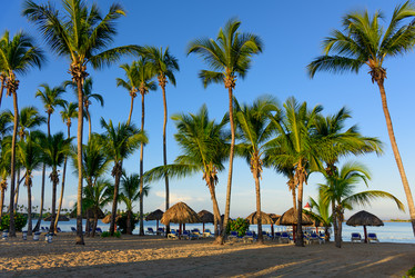 Similar image 19191935