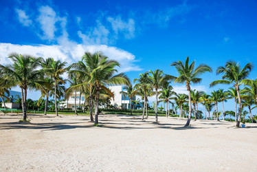 Similar image 19192100