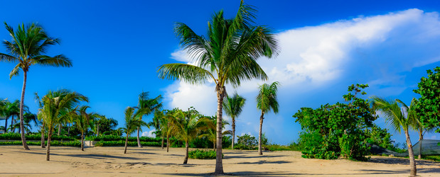 Similar image 19192224