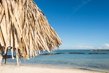 Similar image 19192278