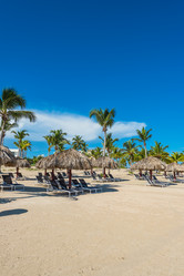 Similar image 19192344