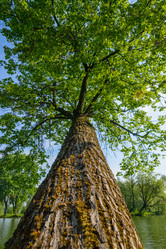 Similar image 19192725