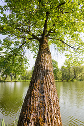 Similar image 19192729