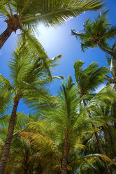 Similar image 19192798