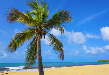 Similar image 19192800