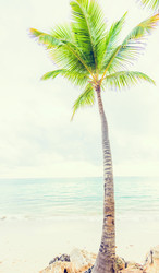 Similar image 19192817