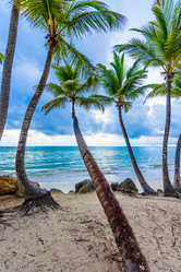 Similar image 19192887