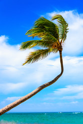 Similar image 19192888